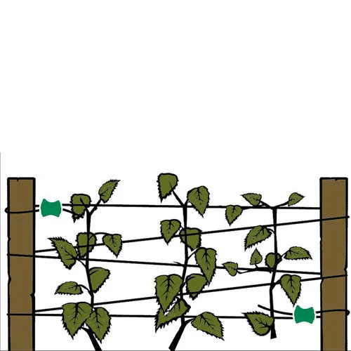 Gripple Plant Support System Starter Pack